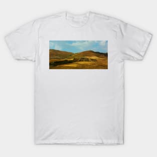 Sicily. Fields XII. 2011 T-Shirt